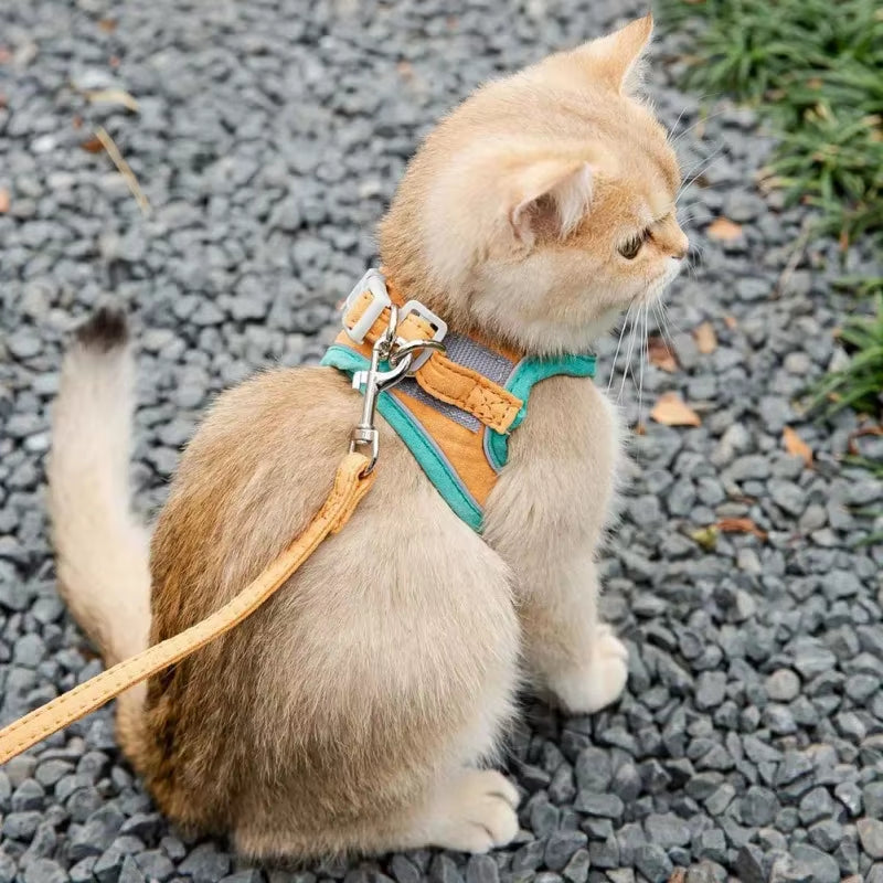 Cat Harness Leash Set for Cat Accessories Dog Cat Vest Pug Leashes Walking Tools Walk Out Leads Products