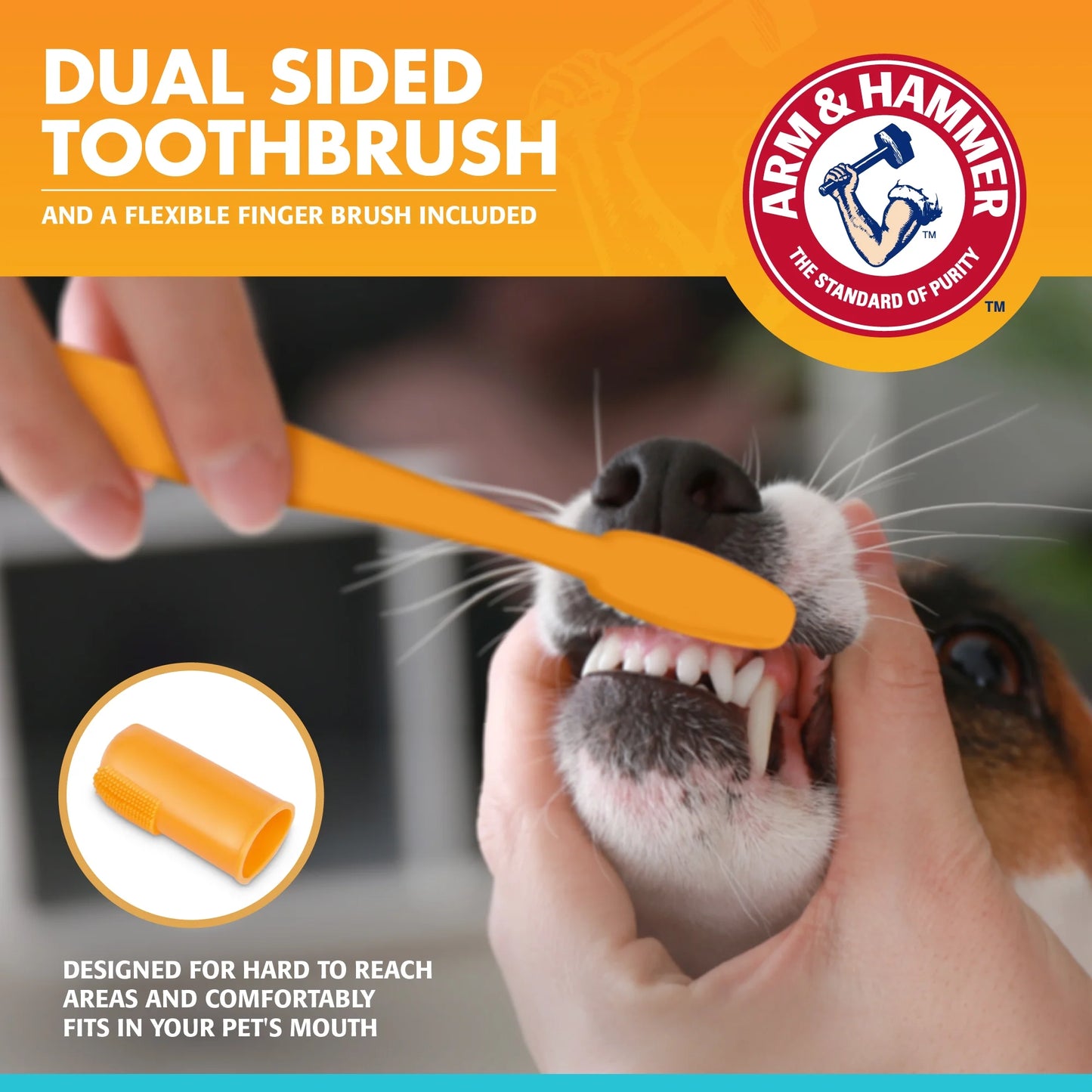 Advanced Care Fresh Breath Dog Toothpaste & Toothbrush Kit Vanilla Ginger Flavor