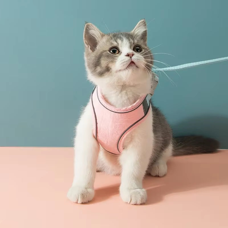 Cat Harness Leash Set for Cat Accessories Dog Cat Vest Pug Leashes Walking Tools Walk Out Leads Products