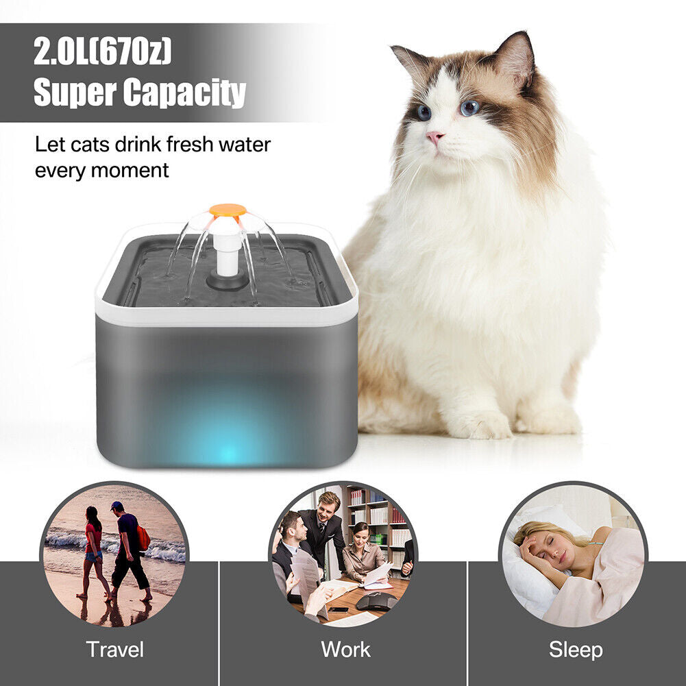2L Pet Water Fountain Automatic LED Auto Dish Drinking Dispenser Bowl