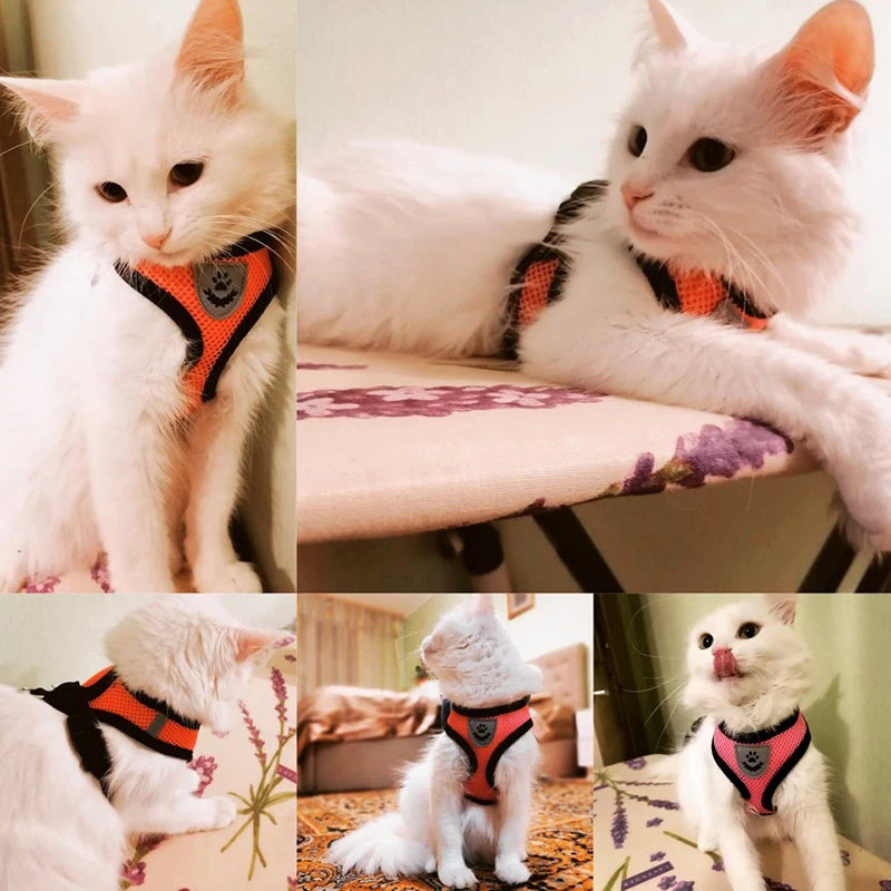 Cat Harness Leash Set for Small Dogs Adjustable Puppy Cat Harness Vest French Bulldog Chihuahua Pug Outdoor Walking Lead Leash
