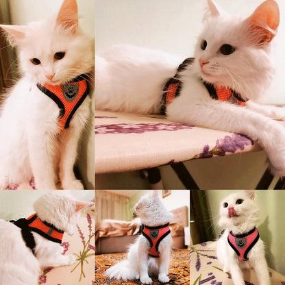 Cat Harness Leash Set for Small Dogs Adjustable Puppy Cat Harness Vest French Bulldog Chihuahua Pug Outdoor Walking Lead Leash